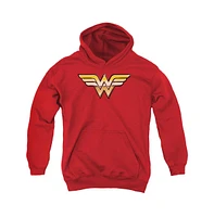 Justice League Boys of America Youth Golden Pull Over Hoodie / Hooded Sweatshirt