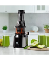 Ventray Big Feeding Mouth Masticating Juicer, Large Chute Juice Extractor for Fruit & Vegetable, Black