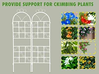 Metal Garden Trellis Set - 2 Pieces, Outdoor Plant Support