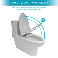 Ceramic One Piece Toilet, Dual Flush With Soft Closing Seat 0001