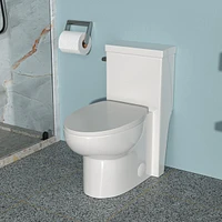 Ceramic One Piece Toilet