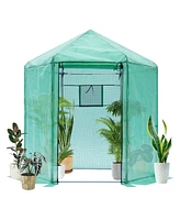 Simplie Fun Hexagonal Walk-In Greenhouse with Reinforced Frame