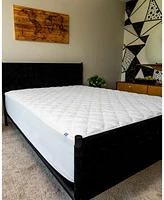 Sealy Waterproof Plus+ Mattress Pad