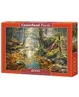 Castorland Reminiscence of the Autumn Forest 2000 Piece Jigsaw Puzzle