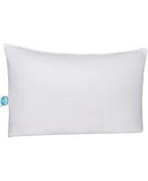 Continental Bedding Luxury Down Pillows Pack of 1