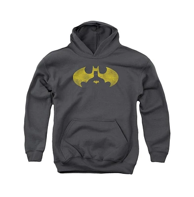 Batman Boys Youth Bat Symbol Knockout Pull Over Hoodie / Hooded Sweatshirt