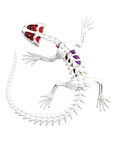 World Tech Toys Amazing Creatures Synthetic Dissection Kit - Salamander Frog Double Pack