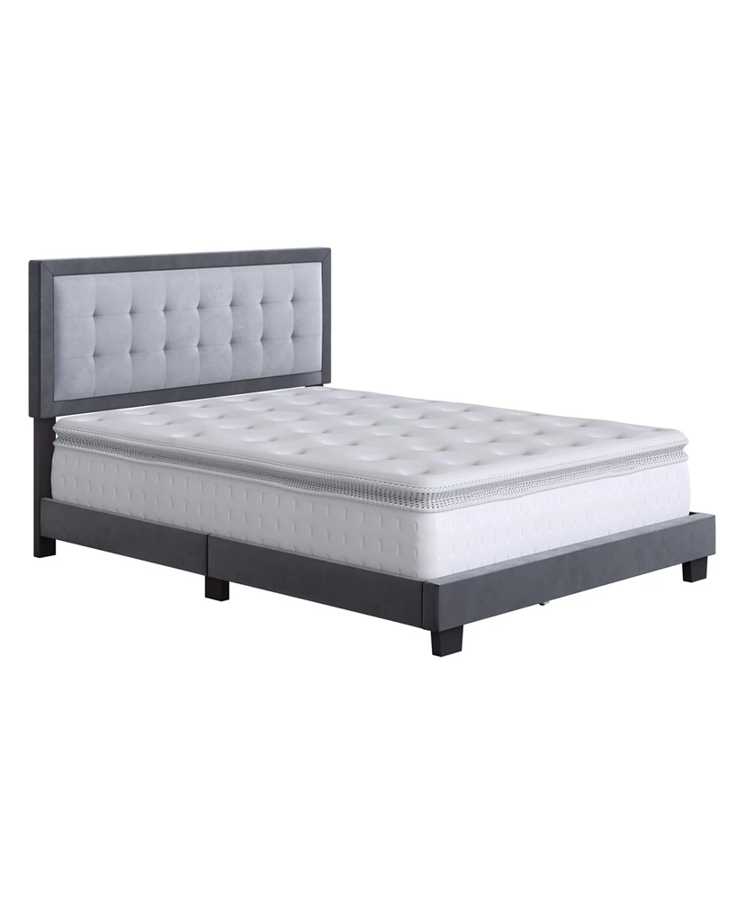 Boyd Sleep Pisa Velvet Upholstered Platform Bed Frame, Grey, Full