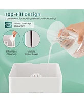 Costway 4L Ultrasonic Humidifier with 2 Mist Levels 12H Timer Sleep Mode for Large Room