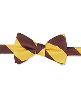 Tayion Collection Men's Brown Gold Stripe Bow Tie