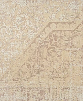 Lr Home Anna Ari- 2'8"x3'10" Area Rug