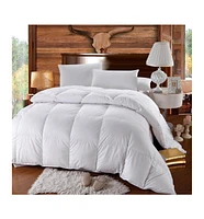 Egyptian Linens 750 Fill Power Oversized Goose Down Comforter