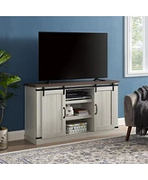Transitional Tv Stand with Sliding Doors, Light Gray