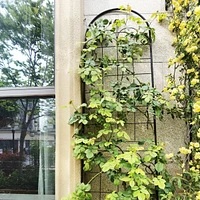 Rustproof Metal Garden Trellis for Climbing Plants