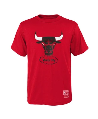 Mitchell & Ness Big Boys and Girls Chicago Bulls Hardwood Classics Retro Logo T-Shirt