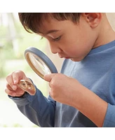 Kaplan Early Learning Specimen Stones: Sea Creatures