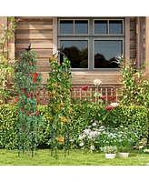 2-Pack Garden Obelisk Trellis for Climbing Plants-Black
