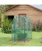 Streamdale Furniture Walk-in Plant Cage with Steel Frame for Garden Protection from Animals