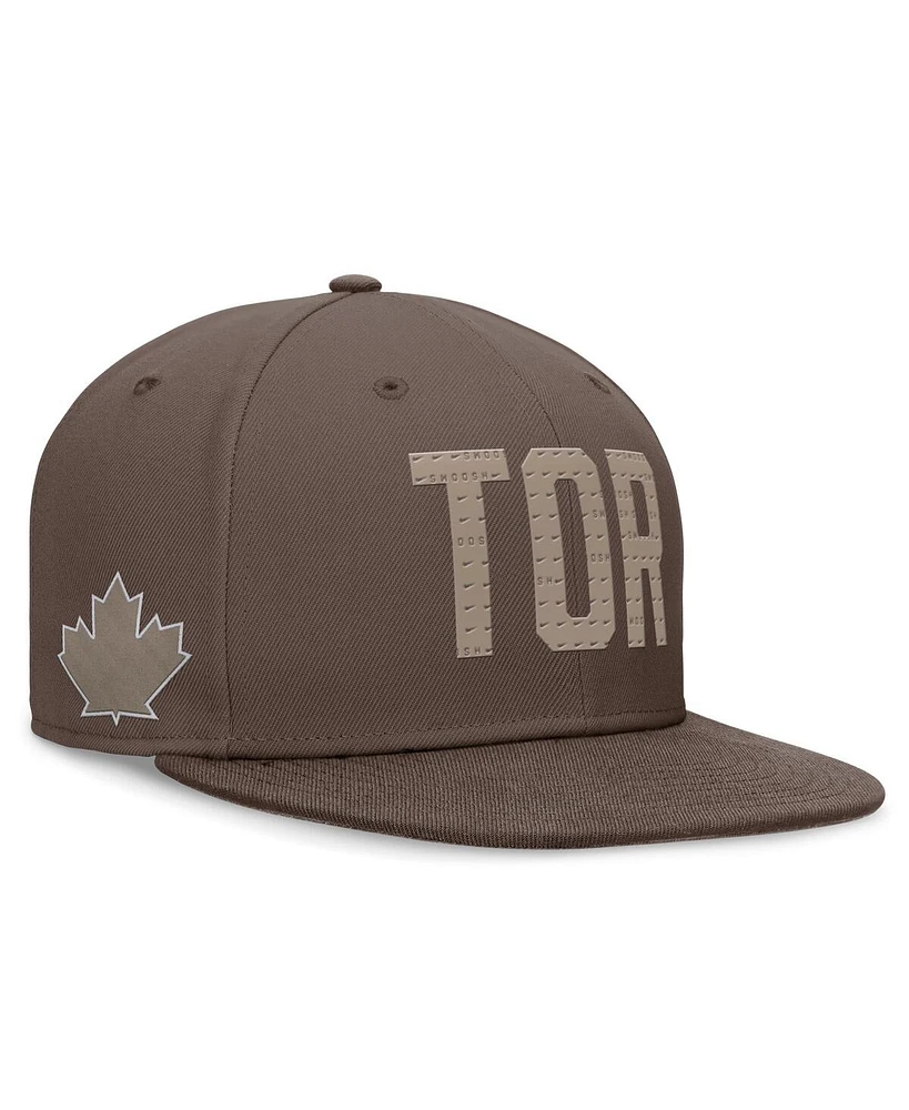 Nike Men's Brown Toronto Blue Jays Statement Ironstone Performance True Fitted Hat