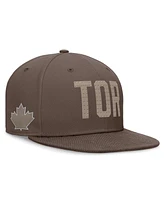 Nike Men's Brown Toronto Blue Jays Statement Ironstone Performance True Fitted Hat