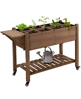 Streamdale Furniture Spacious Wheeled Elevated Planter with Storage and Drainage