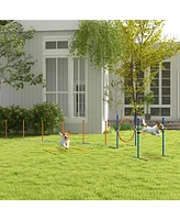 Streamdale Furniture Complete Dog Agility Set Train Your Pet to Conquer Challenges