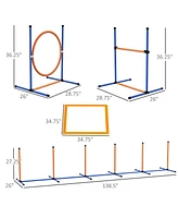 Streamdale Furniture Complete Dog Agility Set Train Your Pet to Conquer Challenges