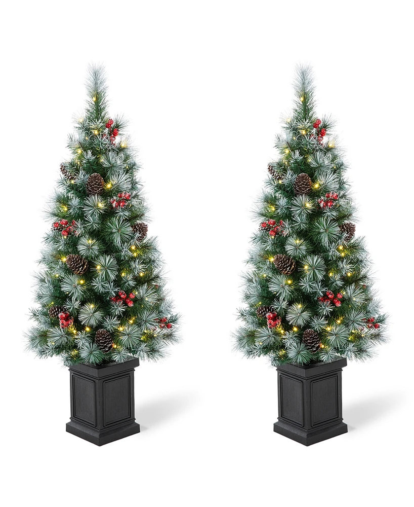 Glitzhome Set of 2 4ft Pre Lit Pine Artificial Christmas Porch Tree with 80 Warm White Lights, Pinecones and Red Berries