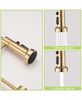 Streamdale Furniture Pull Down Sprayer Spring Kitchen Sink Faucet Brushed Gold