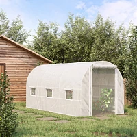 Spacious Walk-in Greenhouse for Year-Round Plant Cultivation