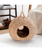 Water Hyacinth Cat Bed Cave A Luxurious, Retreat