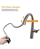 Streamdale Furniture Kitchen Faucet With Pull Out Sprayer, Brushed Nickel