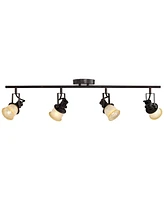 Pro Track Track Light Fixture