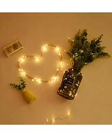 Yescom 2 Packs 66Ft Led Warm White Starry Fair String Lights 8 Modes Remote Christmas for Party Wedding Bedroom