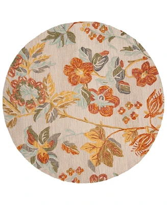 Safavieh Blossom I BLM458 6'x6' Round Area Rug