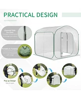 Portable Pop-Up Greenhouse for Plant Protection