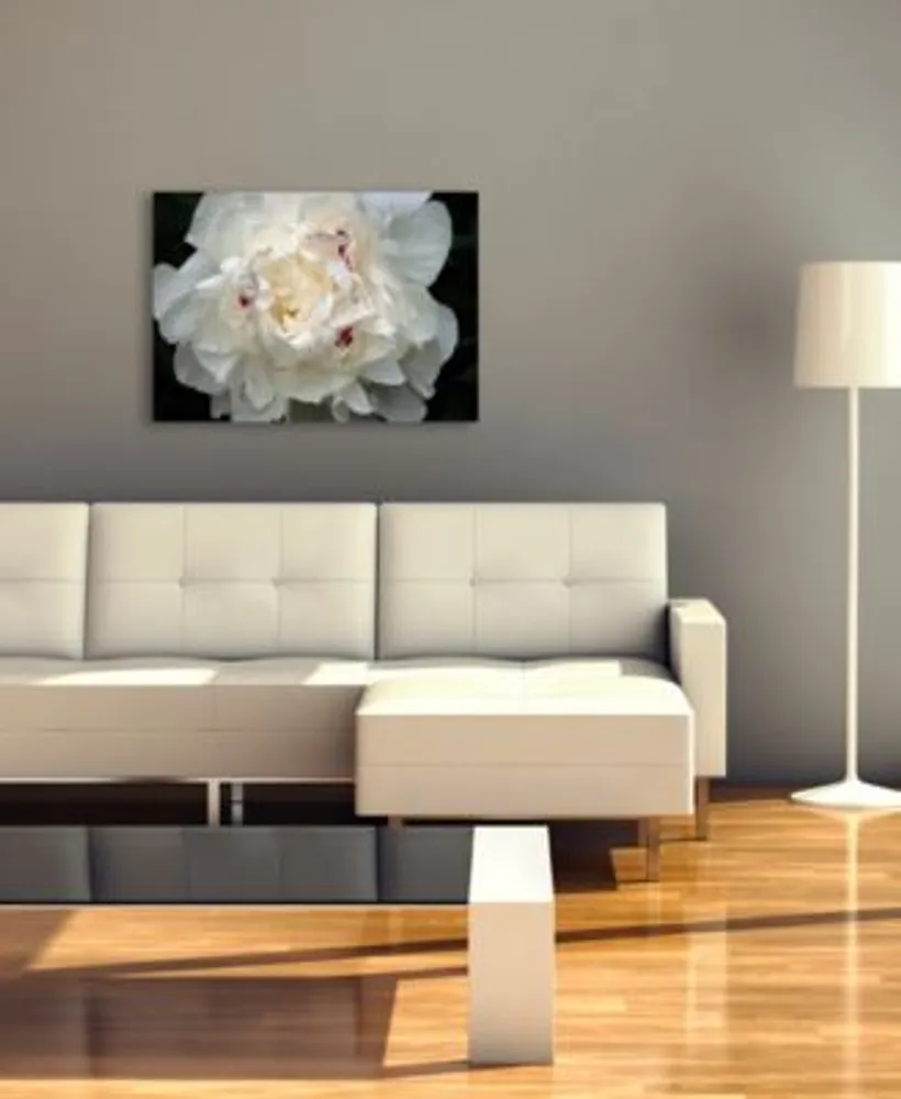 Perfect Peony Canvas Art By Kurt Shaffer Collection