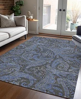 Addison Chantille ACN654 2'6"x3'10" Area Rug