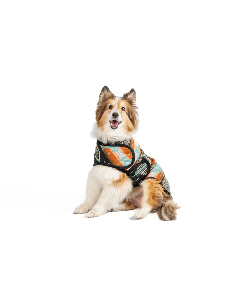 Chilly Dog Black Canyon Dog Blanket Coat