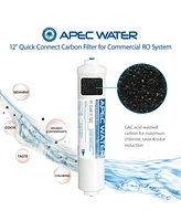 Apec Water Systems Apec Inline Carbon Post-filter 12", 3/8" Output