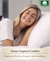 100% Organic Cotton Sheets Set