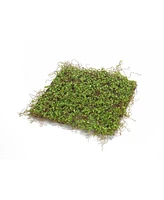 Slickblue Premium Moss Mat Set (Set of 12)-Authentic-Looking Polyester and Plastic Moss Pads for Natural Vibes
