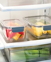 Oggi Clarity 4lt Leak-Proof Airtight Food Storage Sealable Container with Lid