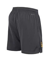 Nike Men's Anthracite Lsu Tigers 2024 Sideline Mesh Shorts