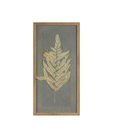 Slickblue Dried Fern Frame (Set of 2)