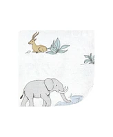 Hudson Baby Infant Boy Flannel Cotton Washcloths