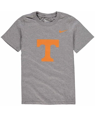 Nike Big Boys and Girls Heathered Gray Tennessee Volunteers Cotton Logo T-Shirt