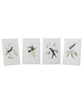 Slickblue Tabletop Encyclopedia Hummingbird Print (Set of 4)