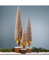 Slickblue Potted Bottle Brush Pine Tree (Set of 3)