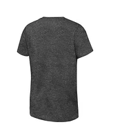Fanatics Big Boys and Girls Heather Charcoal Florida Panthers 2024 Stanley Cup Champions Locker Room T-Shirt